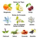 PERFUME GALAXY PLUS CONCEPTS L INTIMTE EAU DE PARFUM FEMININO 100ML