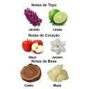 PERFUME GALAXY PLUS CONCEPT BLUE BLOOD EAU DE PARFUM FEMININO 100ML