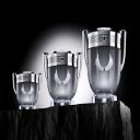 PERFUME INVICTUS PLATINUM EAU DE PARFUM PACO RABANNE MASCULINO 100ML