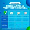 Probiótico Enterogermina Plus 10 frascos de 5ml - Tamanho Família
