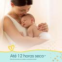Kit Fralda Pampers Premium Care G 30 Unidades + Lenço Umedecido Aloe Vera 48 unidades