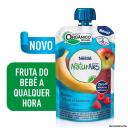Purê Orgânico Nestlé Naturnes Banana, Maçã e Framboesa com 99g