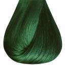 Tonalizante Hidratante C.Kamura Fashion Star Colours Intense Green com 100g
