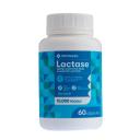 Lactase Enzima Digestiva Drogasil 10.000 FCC 60 Cápsulas