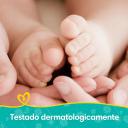 Kit Lenço Umedecidos Pampers Camomila 192 Unidades