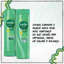 Shampoo Seda Cachos Definidos