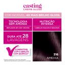 Tinta de Cabelo Casting Creme Gloss de L’Oréal Paris 316 Ameixa 246g