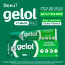 Gelol 52,5mg/g Pomada com 20g