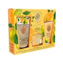 KIT LA FLORENTINA BIG RITUAL BOBOLI CITRUS - CREME PARA AS MãOS 75ML E SABONETE EM BARRA 106G E GEL DE BANHO 200ML