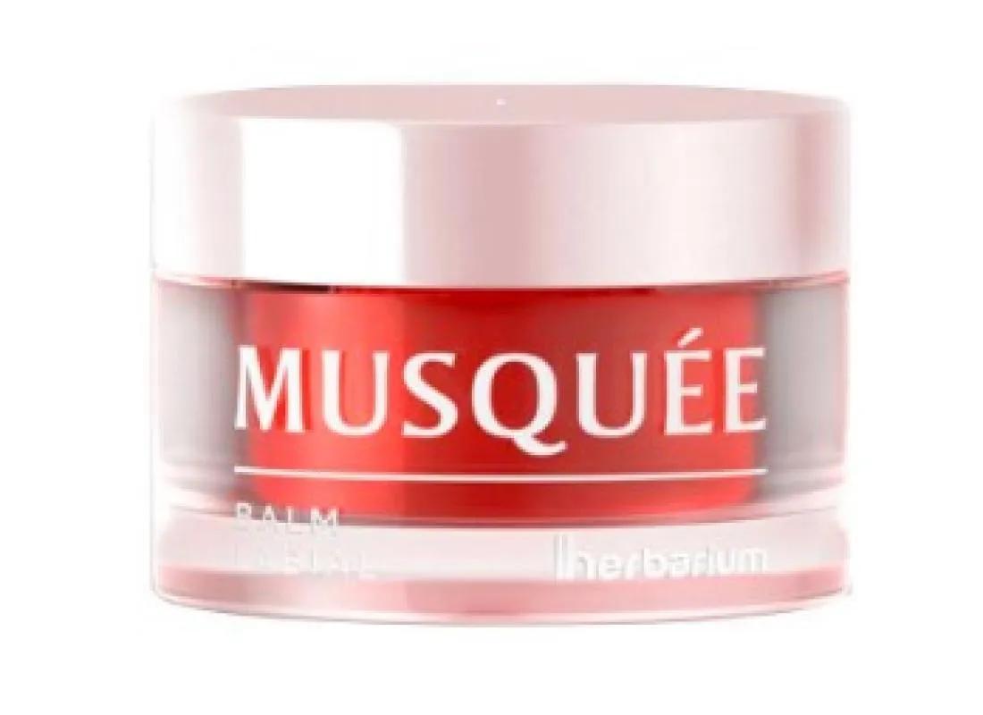 BALM LABIAL MUSQUéE 12G