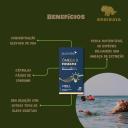 KIT 3 ÔMEGA3 FOSFATIX RICO DHA CERTIFICADO PURAVIDA ORIGINAL SEM Sabor