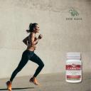 L-CARNITINA VITAMINA B6 60 CáPS 500 MG (DOSE)