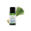 ÓLEO ESSENCIAL LEMONGRASS ORGÂNICO TERRAFLOR 10ML