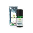 ÓLEO ESSENCIAL LEMONGRASS ORGÂNICO TERRAFLOR 10ML
