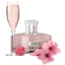 PERFUME GALAXY PLUS CONCEPTS FAMOUS WOMEN EAU DE PARFUM FEMININO 100ML